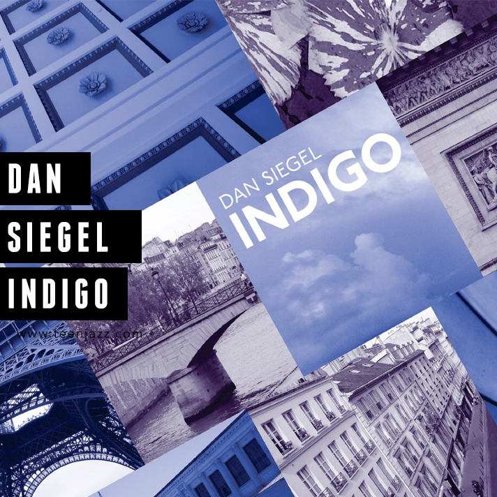 Review of Indigo by Dan Siegel | Teen Jazz